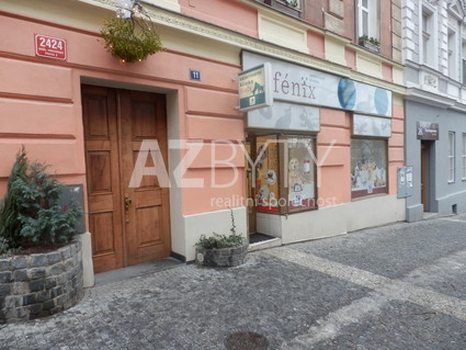 Pronájem nebytového prostoru, OV, 54 m2, Bořivojova ulice, Praha - Vinohrady - Fotka 4