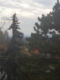 Fotka 19
