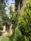 Fotka 6