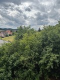 Fotka 22