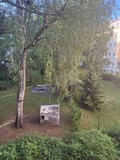 Fotka 15