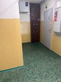 Fotka 7