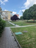 Fotka 17