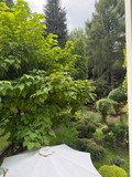 Fotka 24