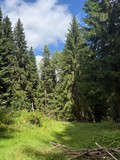 Fotka 8